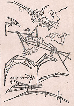 レオナルド・ダ・ビンチの蝙蝠翼の設計図