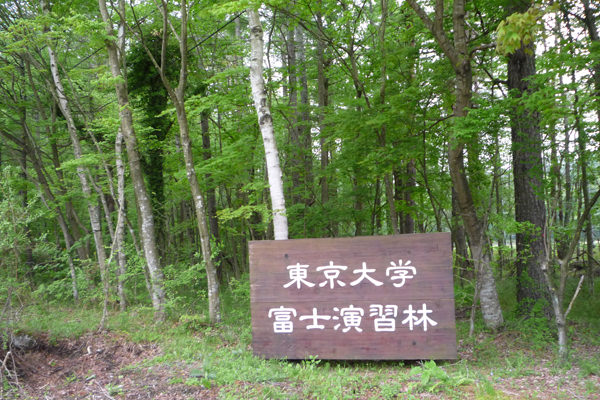 東大富士演習林