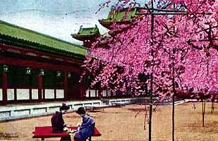 平安神宮と岡崎公園の桜