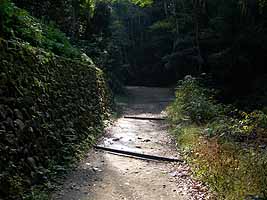 大文字山への道