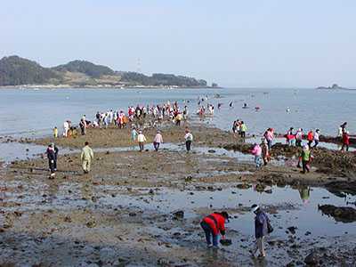 珍島の海割れ