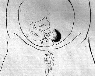 産めよ殖やせよ