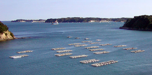 渡鹿野島